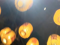 -南京大牌档(新街口德基广场店)