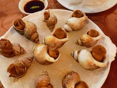 海螺-天然居(伦教店)