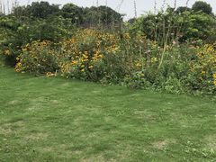 -九里河湿地公园