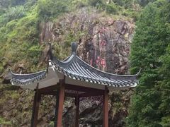 景点-水濂山森林公园