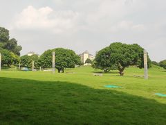 -红花山公园