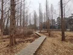 -国家植物园南园