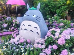 -上海滨江森林公园