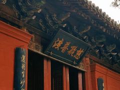 -洛阳白马寺