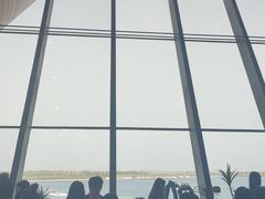 -抱抱地球咖啡馆(国家海洋博物馆店)