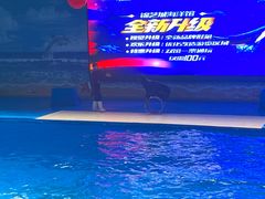 -锦艺城海洋馆