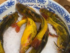 -鸽子窝(宋庄店)
