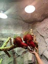 -Zoolung Zoolung动物主题公园(海信广场店)