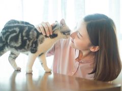 -共舞时光猫咖·狗咖(新街口店)