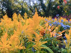 -人民公园(罗湖区)