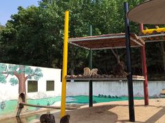 -西霞口神雕山野生动物世界