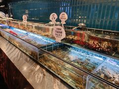 -雍容荟帝王蟹活龙虾展台自助(IFS黑金店)
