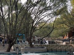 -东明山森林公园