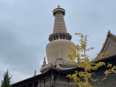 -张掖大佛寺景区