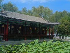 -济南大明湖景区