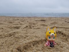 -海云台海滩