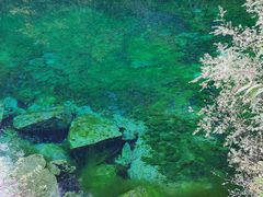 -叠溪松坪沟景区