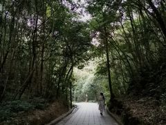 -泰宁旅游风景名胜区
