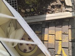 -麦雪尔甜品·生日蛋糕(新街口旗舰店)