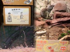 -正佳雨林生态植物园