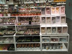 -KKV(深圳宏发大仟里店)