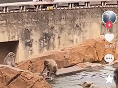 -昆明动物园