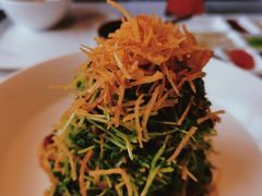 巧拌豆苗-四季民福烤鸭店(前门店)