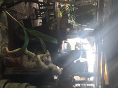 -自然餐厅(Phuket)