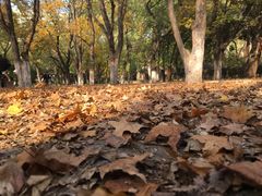 -山东大学(趵突泉校区)