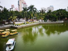 -金砂公园