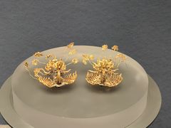 -广西壮族自治区博物馆