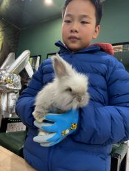 -神奇动物撸宠馆·羊驼·小浣熊·异宠(豫园店)