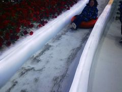-世界之窗阿尔卑斯冰雪世界