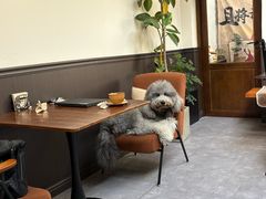 -沏点Trattoria意大利餐厅(新街口店)