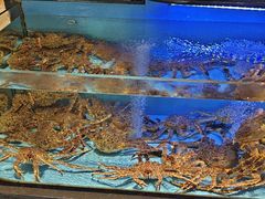 -阿伟海鲜楼·福建菜(延寿店)