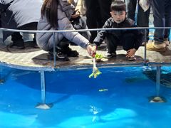 -泉城欧乐堡海洋极地世界