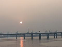 -蔻蔻椰·鲜萃椰子水(欢乐港湾店)