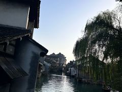 -乌镇西栅景区