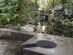-成都市活水公园