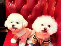 -高乔镇·巴西烤肉自助(蓝港店)