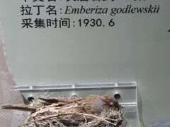 -天津自然博物馆
