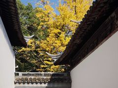 -西园戒幢律寺