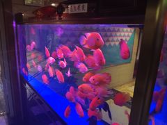 -重庆家富富侨养生会所全省示范店(东五路店)