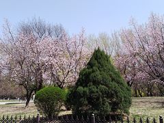 -二一九公园