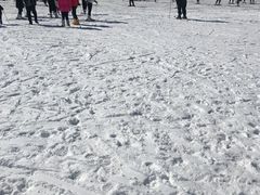-蓟县盘山滑雪场