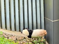 -黔灵山公园