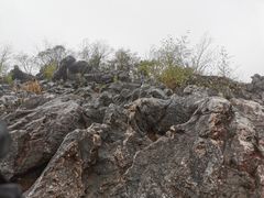 -千岛湖石林
