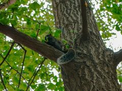 -成都市活水公园