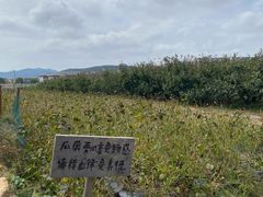 -大连北马山庄