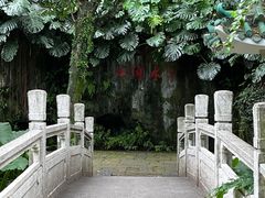 -广州兰圃
